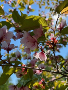 RETKELLE PÖLKINVUOREN ELÄMYSPUUTARHAAN